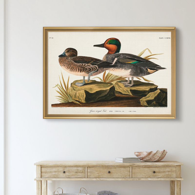 Vert sarcelle ailé - reproduction d'art sur toile, H 22,5 po x l 30,5 po x P 1,5 po, Doré