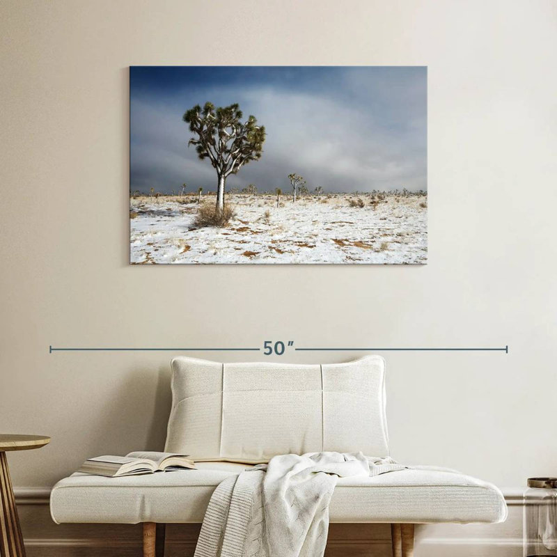 Harnek Snowy Mojave Desert, H 26 po x l 39 po