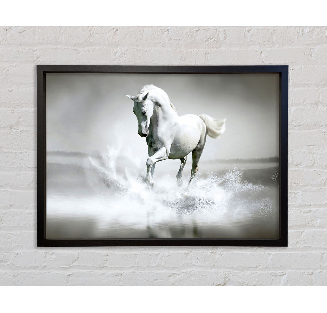 White Water Horse Gerahmter Druck