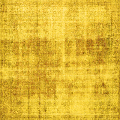 Oriental Indoor Rug