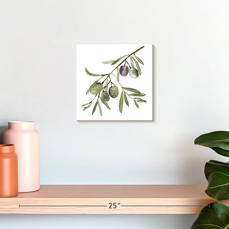 Branche d'olive fraîche Harnek I, H 10 po x l 10 po