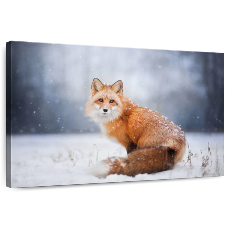 Brampt Little Red Fox Portrait, 26" H x 39" W