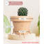 Cute Pots Pot Planter