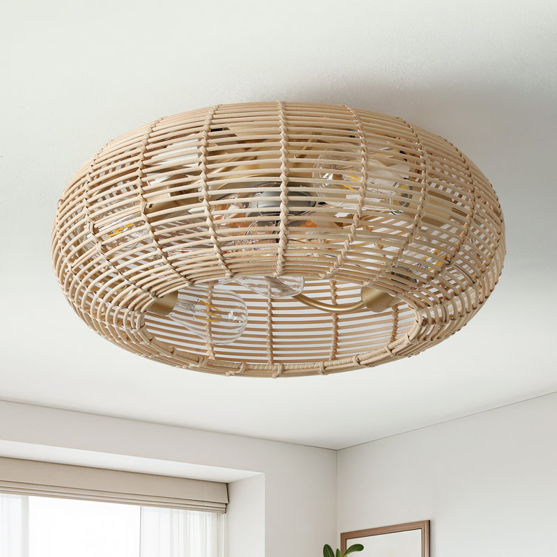 Ventilateur de plafond en cage 20 "avec lumières Hoai