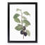 Prune Tree by Pierre-Joseph Redoute - Picture Frame Painting Print-55601368-55601367
