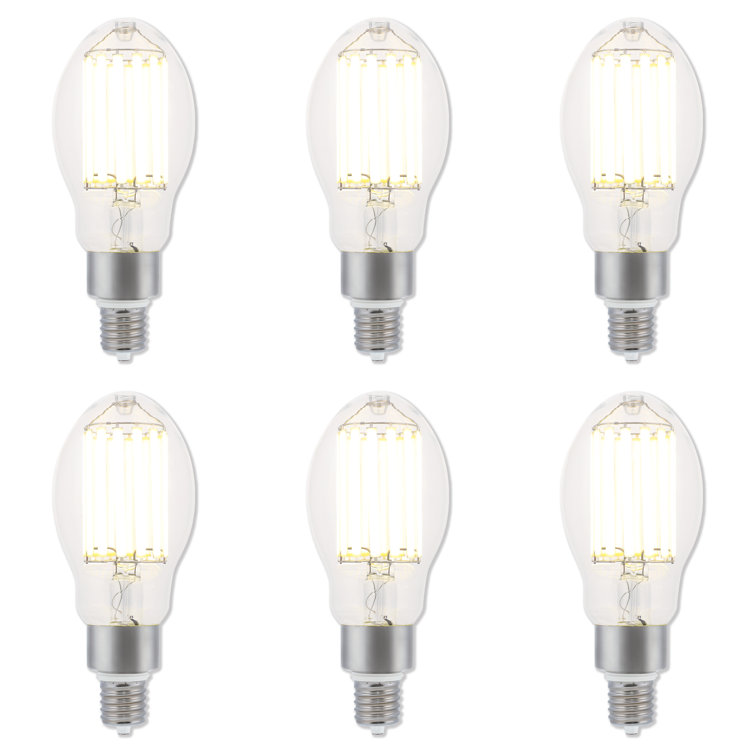 Equivalent E39/Mogul 5000K LED Bulb