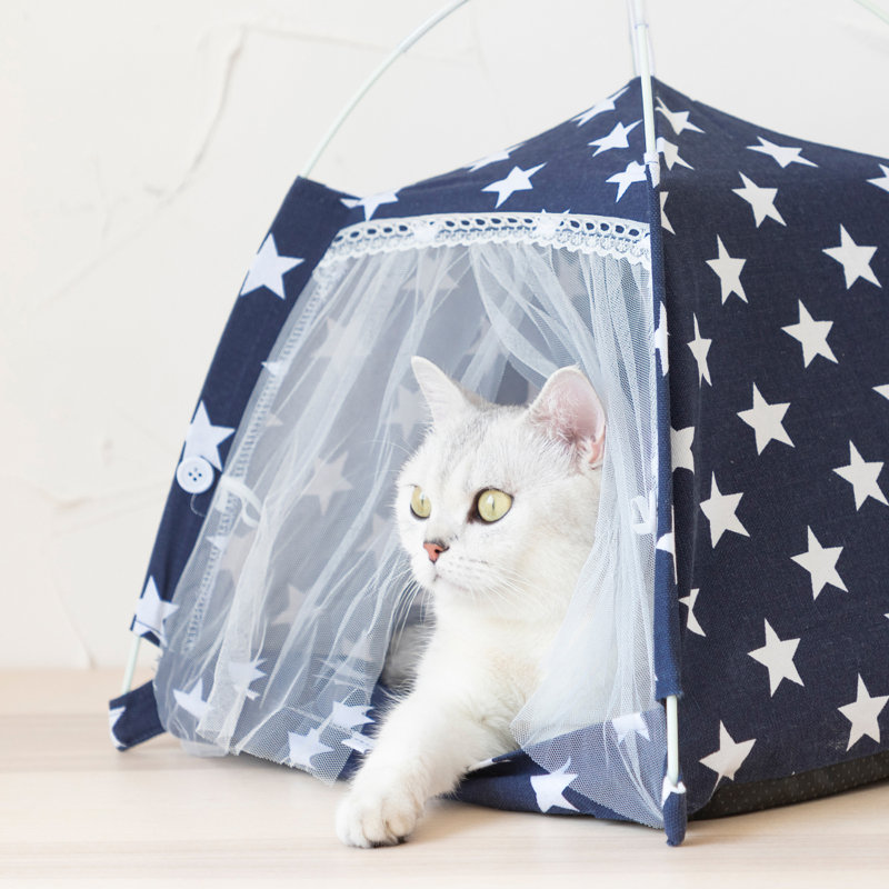 Benniefield Geometric Canvas Tent Pet Bed