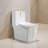 White-gold Dual-flush Elongated One-piece Toilet (seat Included)