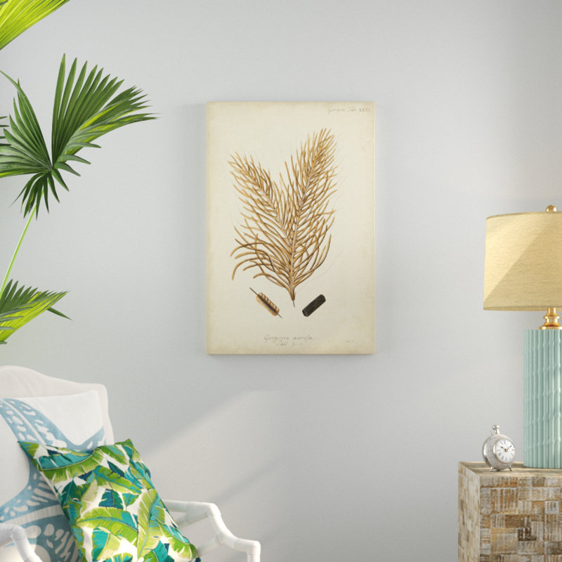 Coral Collection III by Johann Esper - Painting Print, 91cm H x 61cm W, Wrapped Canvas