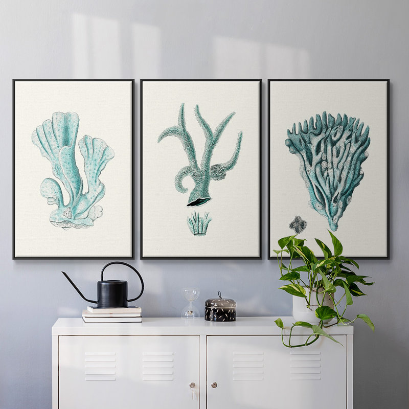 Ensemble de 3 pièces encadrées sur toile Antique Coastal Coral X, Noir, H 27 po x l 54 po