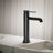 Occasion Tall Single-Handle Vessel Sink Bathroom Faucet with Drain Assembly-75081527-124652304