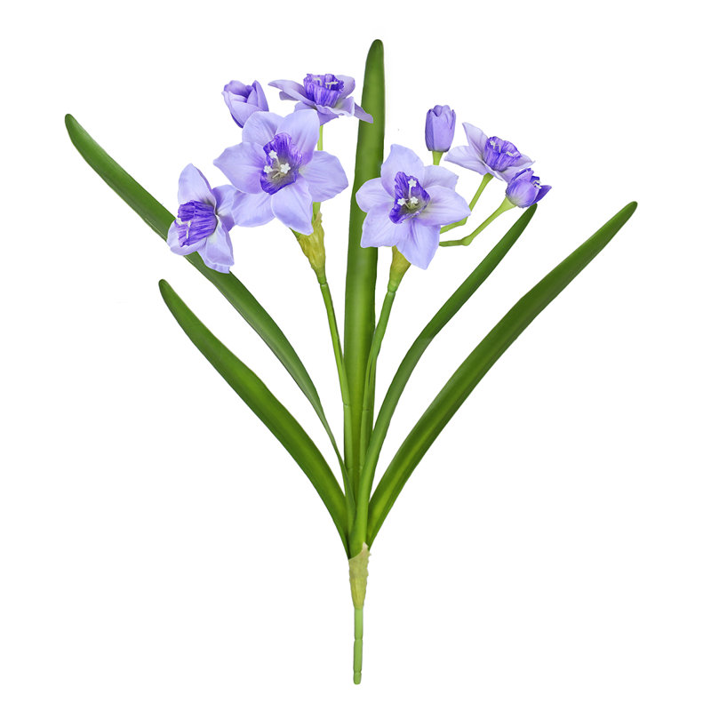 Tulipes, Mauve