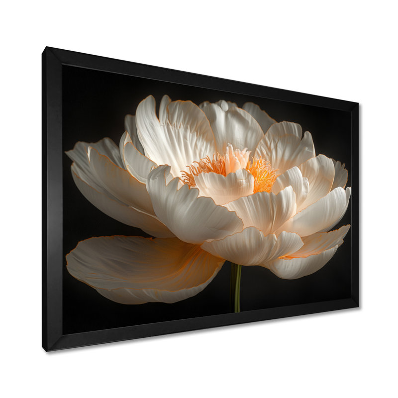 Riveria - pivoines, impression d'art mural, H 12 po x l 20 po, Cadre noir