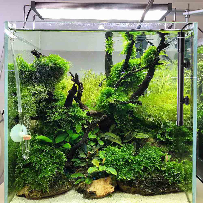 Titanium Aquarium Heater