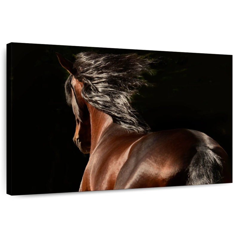 Equine Reflection, 32" H x 48" W