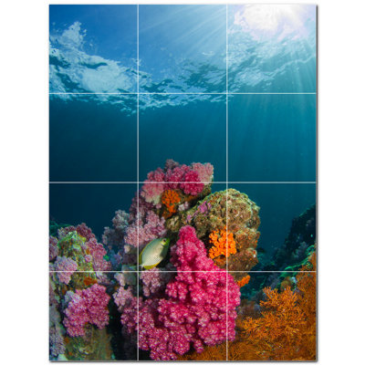 Coral Photo 8'' x 8'' Satin Ceramic Decorative Mural