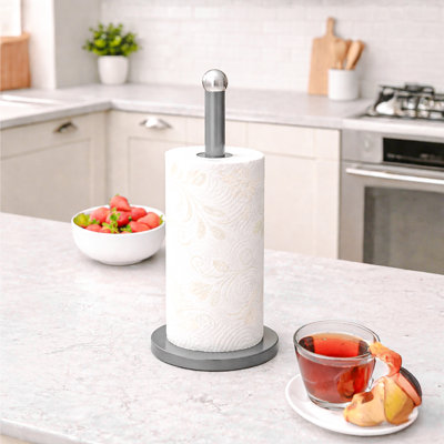 Stainless Steel Paper Towel Holder