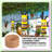 EcoCraft Cardboard Tubes - 20 Pieces