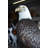 Large Eagle on a branch Bronze Statue -  Size: 29"L x 29"W x 74"H. 