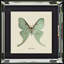 Single Picture Frame Print on Wood