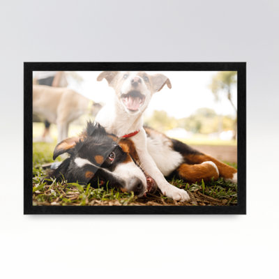 Plassie Solid Wood Picture Frame
