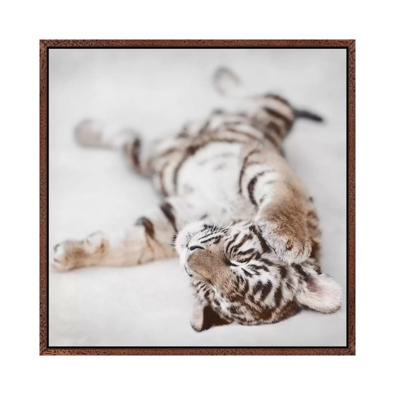 Indira II by Ashley Bradley - Print on Canvas, 66.04 cm H x 66.04 cm W, Classic Brown Wood Framed