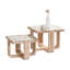 Ensemble de tables basses Modern