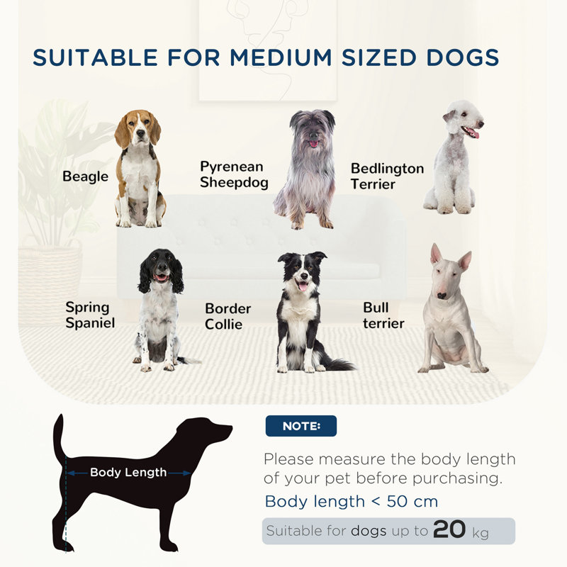 Pet sofa with armrests and button tufted back