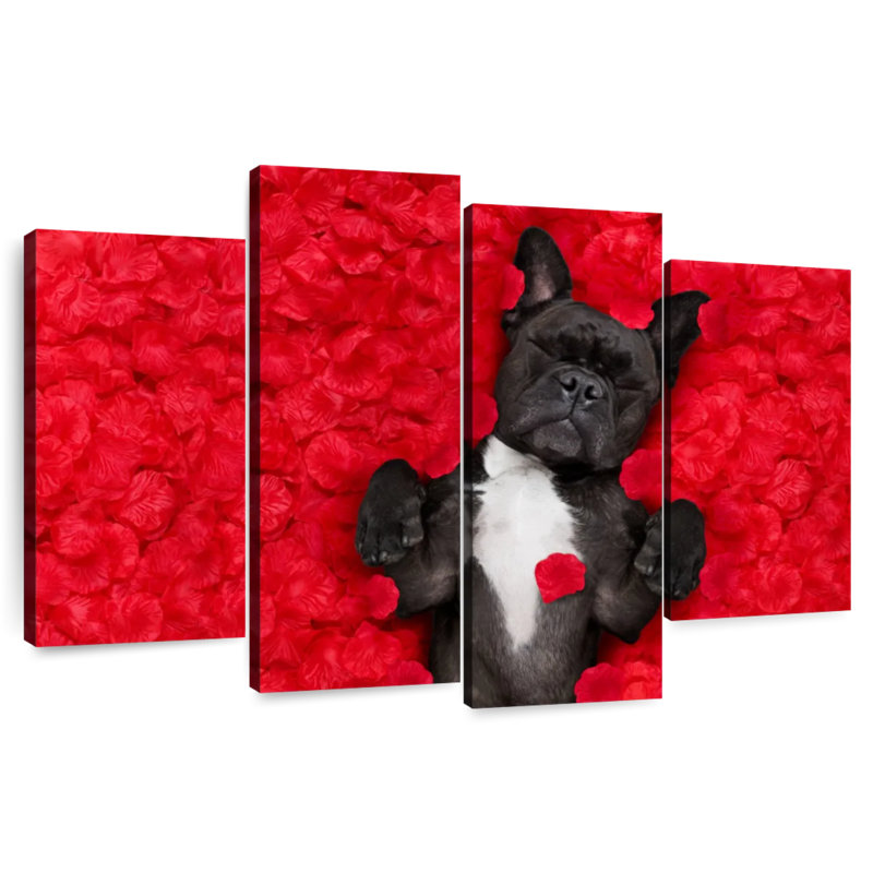 Bouledogue français Brampt Valentines, H 42 po x l 68 po