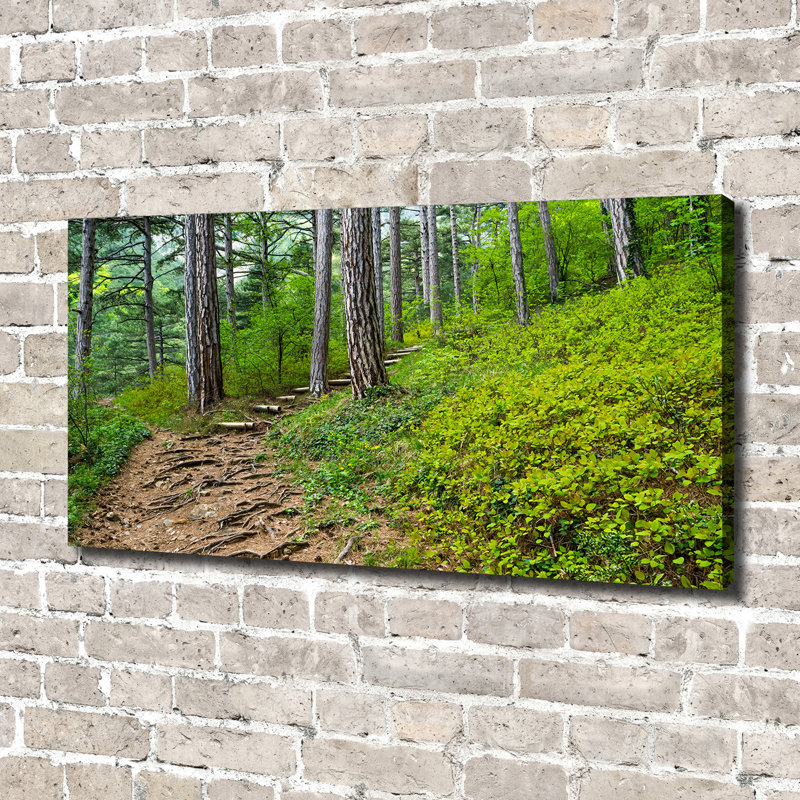 Forest Track - No Frame Print on Canvas