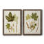 Feuilles antiques, toile encadrée de qualité supérieure, prête à être accrochée-560071809-560071813