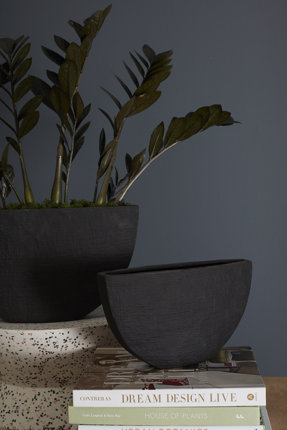 Ceramic Pot Planter, Black, 5.75" H x 10.25" W x 2.5" D