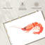 Brampt crevette orange-108880516