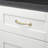 3" Center to Center Arch Pull Multipack-110430093