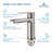 Blossom Single Handle Bathroom Faucet – Brushed Nickel, Solid Brass Construction, Single Hole Mount, Includes Water Supply Lines-24280242