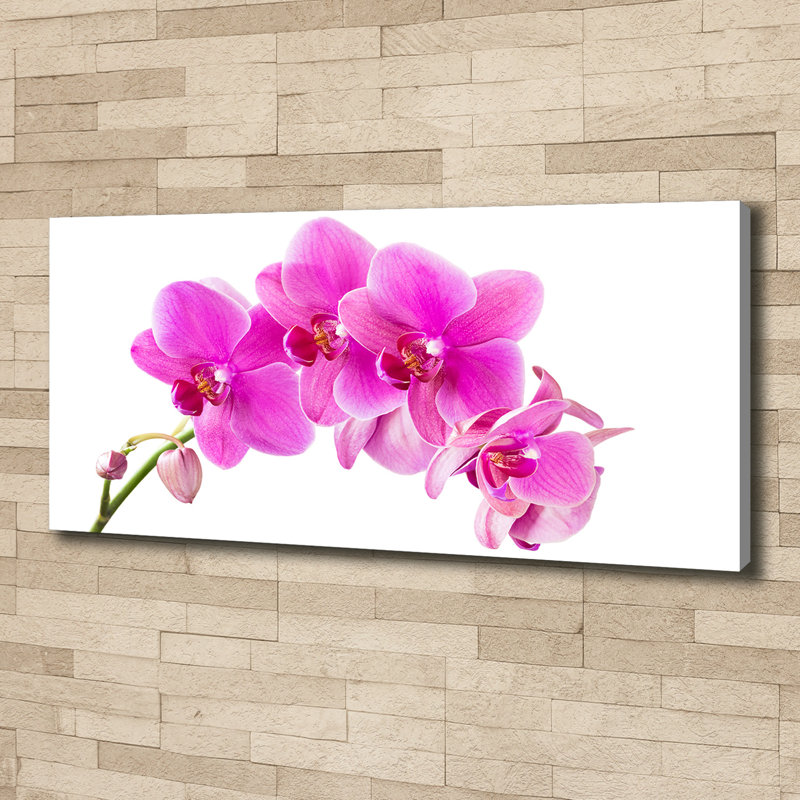 Pink orchid 1 Piece Wrapped Canvas Wall Art