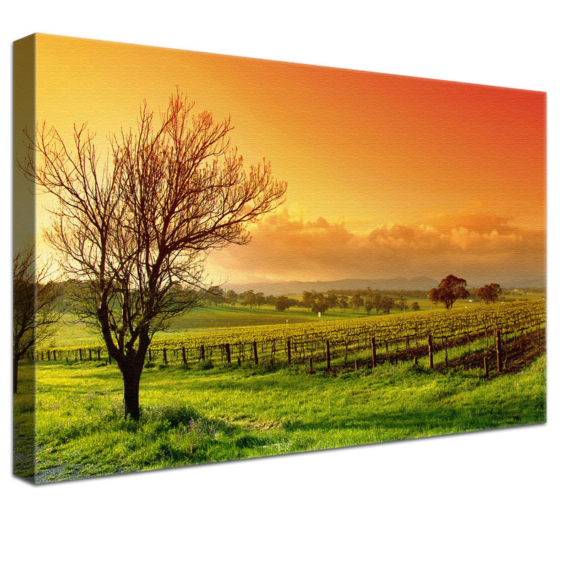 Vineyard - Wrapped Canvas Print, 100cm L x 150cm W x 4cm D, Luxus