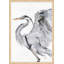 Ardeidae 1 Print by Thom Filicia
