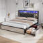 Storage Bed