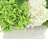 Hydrangea Arrangement in Fluted Ceramic Vase