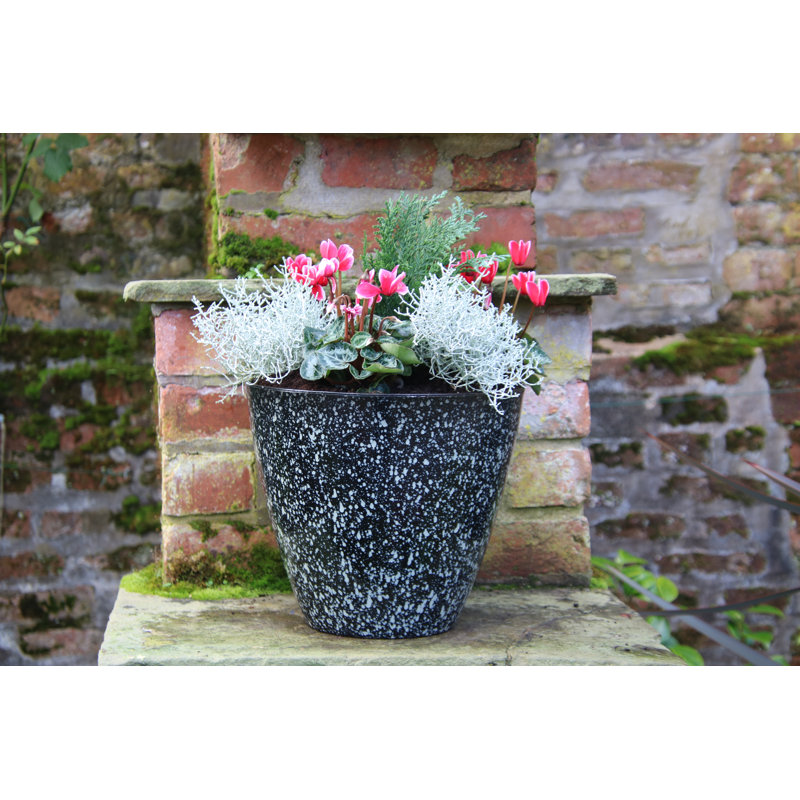 30Cm Alexaundrea Fusion Planter In Black with Grey Spots