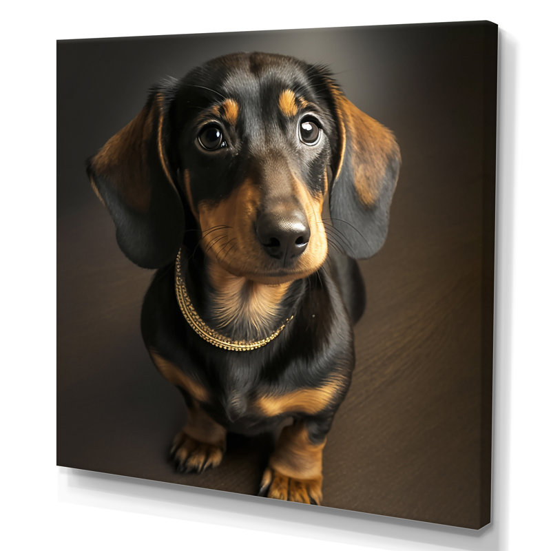 " Daschund Portrait ", 36" H x 36" W x 1.5" D, Wrapped Canvas