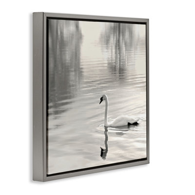 Cadre flottant Morning Sunlit Swan, design par Nicholas Bell