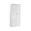 Metal 2 Door 4 -Shelf Storage Cabinet-323064079