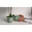 Carroll Set Of 2 Hand-Painted Cachepot / Planter