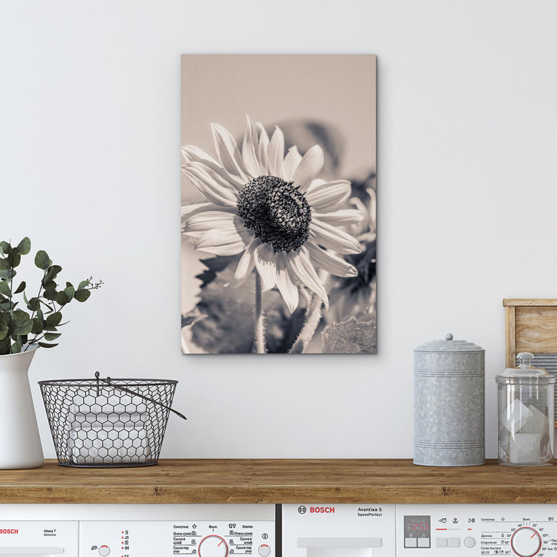 Tournesol «Classic Black and White Sunflower Vintage» sur toile, H 18 po x l 12 po