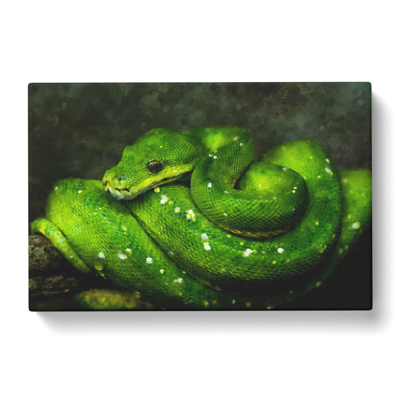 Green Python Snake - Wrapped Canvas Print, 35cm H x 50cm W x 3cm D
