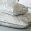 Danae Lumbar Pillow Cover & Insert