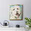 Toile encadrée de qualité supérieure Labradoodle II - prête à être accrochée-42089748-42089750