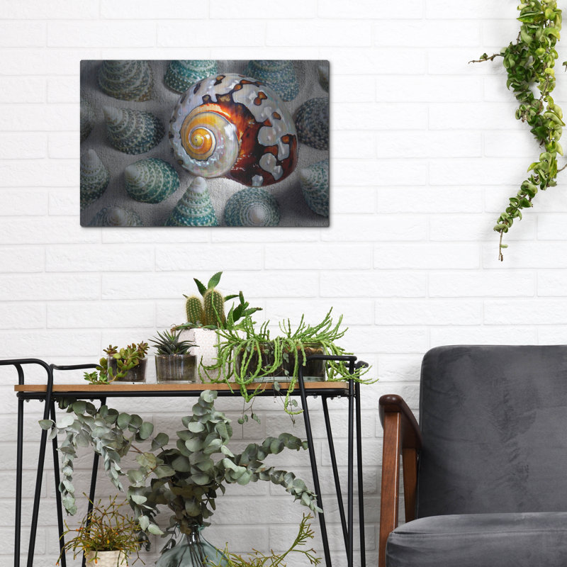 «Shell Spiral» par Dennis Frates, H 12 po x l 16 po